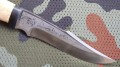chazar95x18karel3.JPG