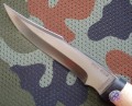 chazar95x18karel6.JPG