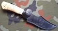 chazar95x18karel9.JPG
