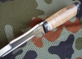 skorpiondr6.JPG