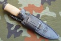 skorpiondr9.JPG