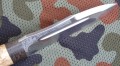skorpionkarel4.JPG