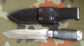 skorpion_skora2.JPG