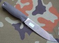 otus7.JPG