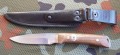 sniegir_orzech2.JPG