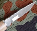 finski_dr_4.JPG