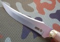 akela3.JPG