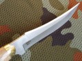 akela4.JPG