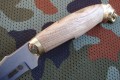 akela6.JPG