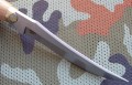akela8.JPG