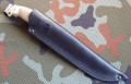 akela10.JPG