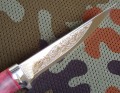 amigo95x18gold4.JPG