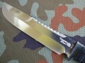 niedzwiedzi95x18gold4.JPG