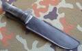 niedzwiedzi95x18gold11.JPG