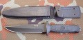 SH8cz1.JPG