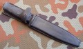 SH8cz8.JPG