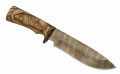 wilczyca_rog4.jpg