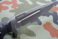 jaguarM5.JPG