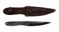 igla_U8_1.jpg